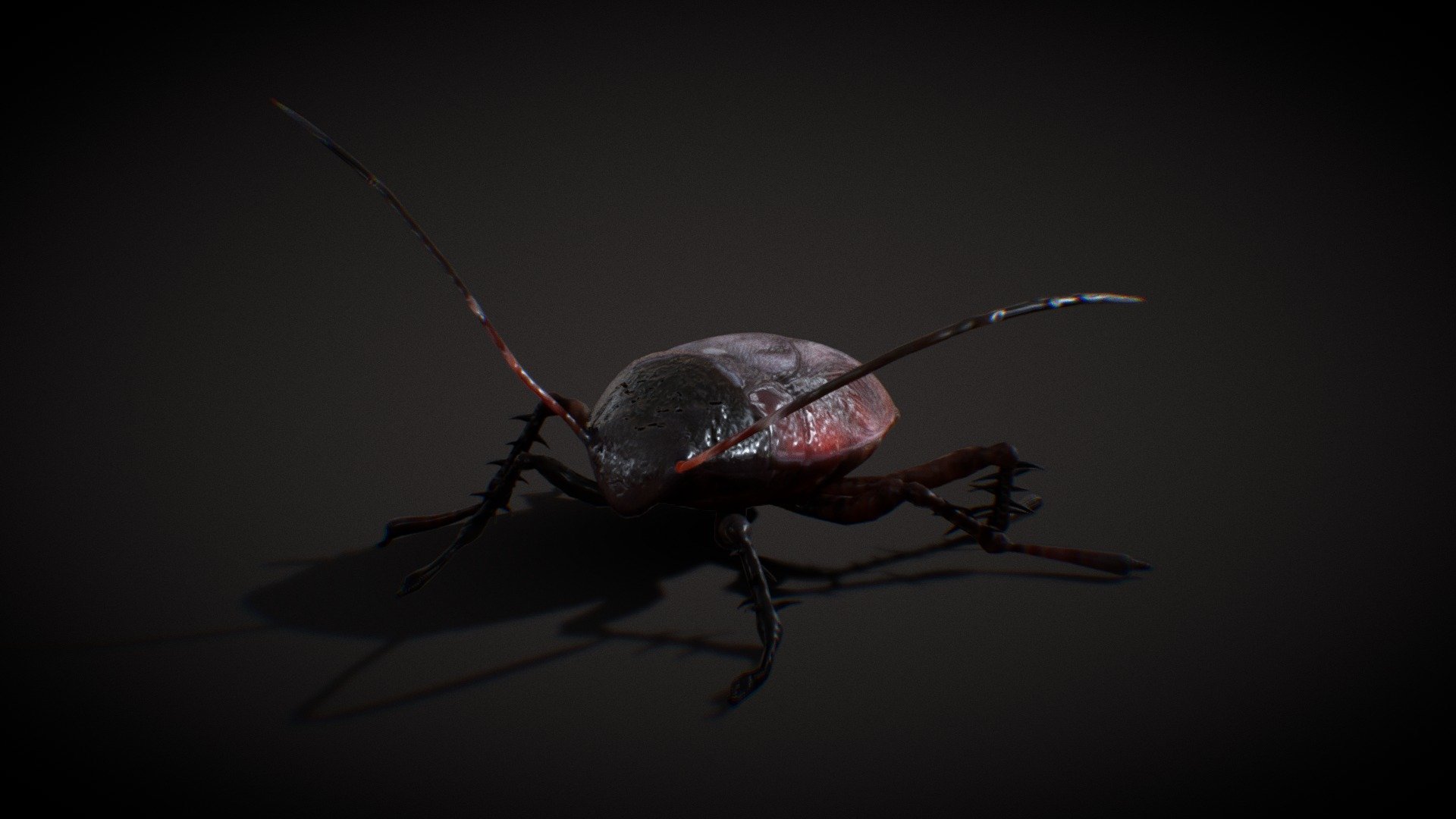 cucaracha 3d model