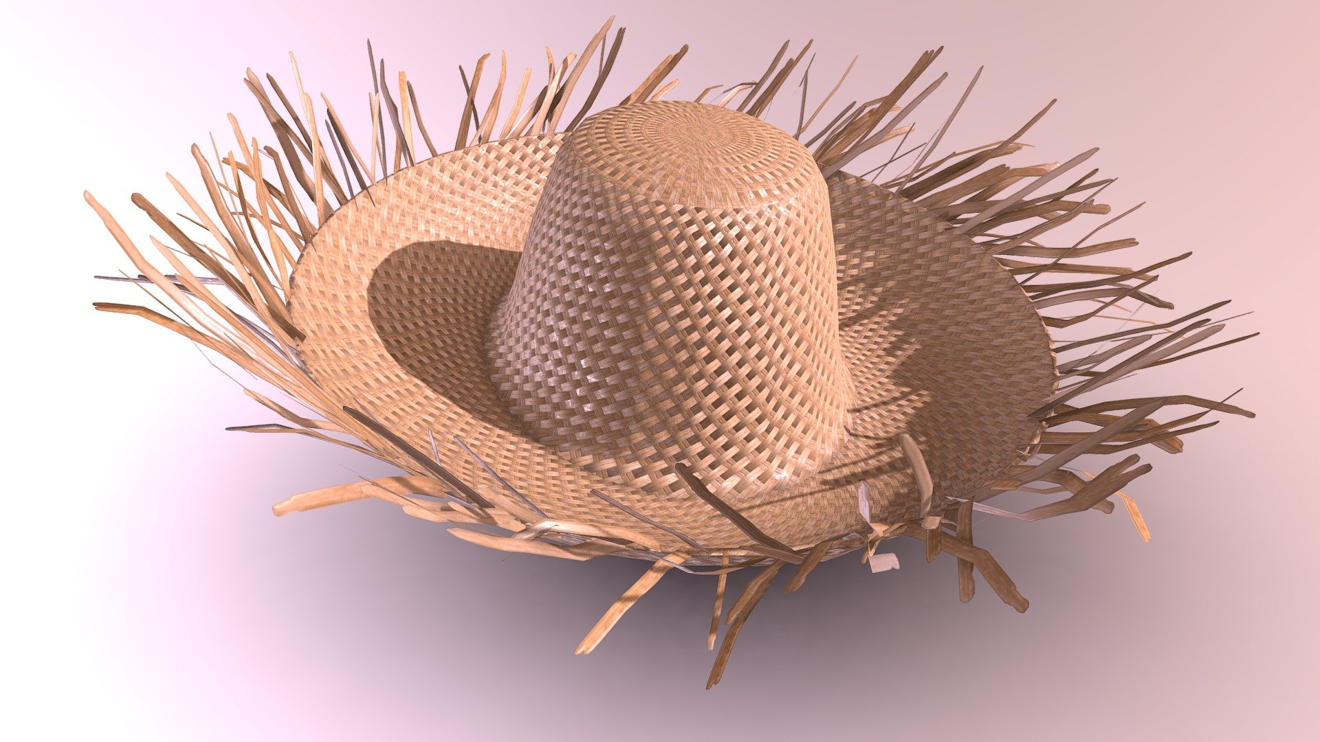 HAT 3d model