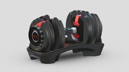 BOWFLEX SELECTTECH 552I DUMBBELLS