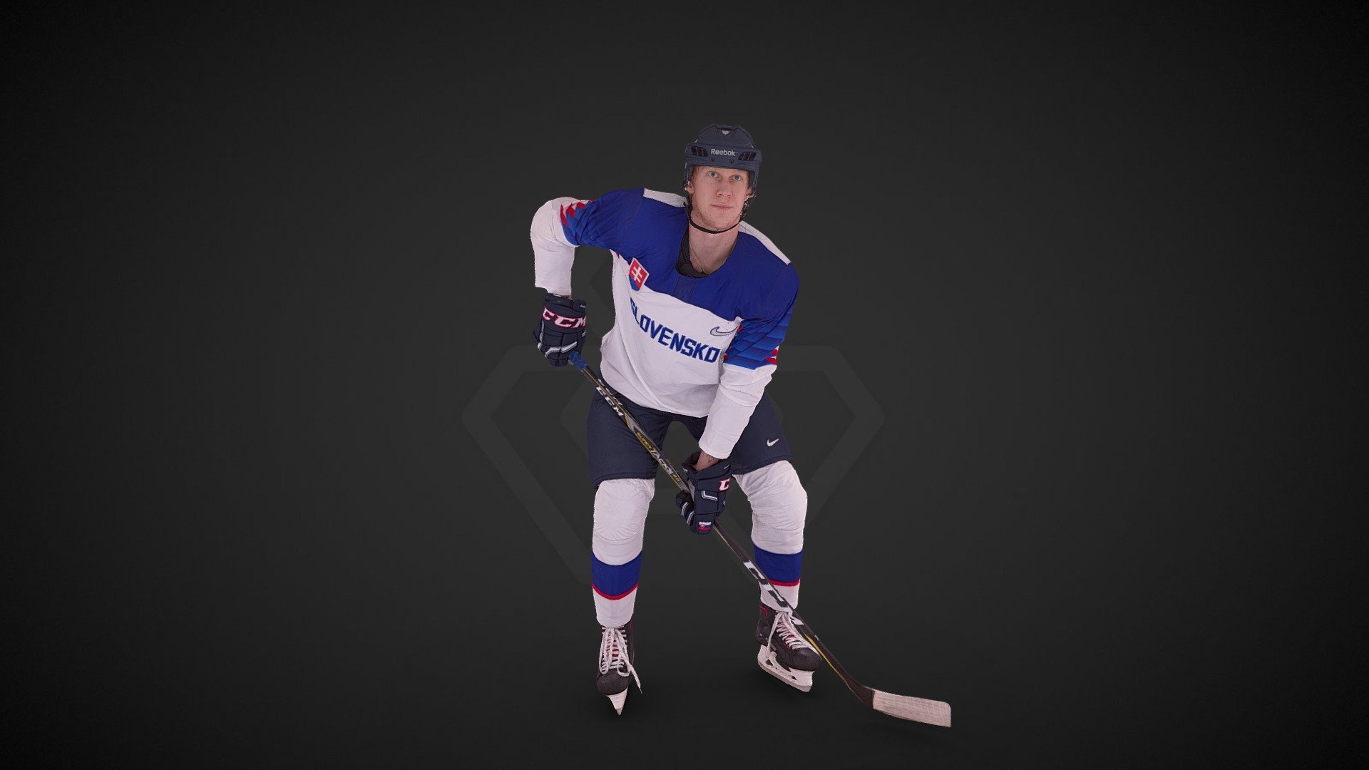 Slovak National Hockey Olympic Jersey 3d model