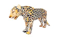 Leopard Illustration