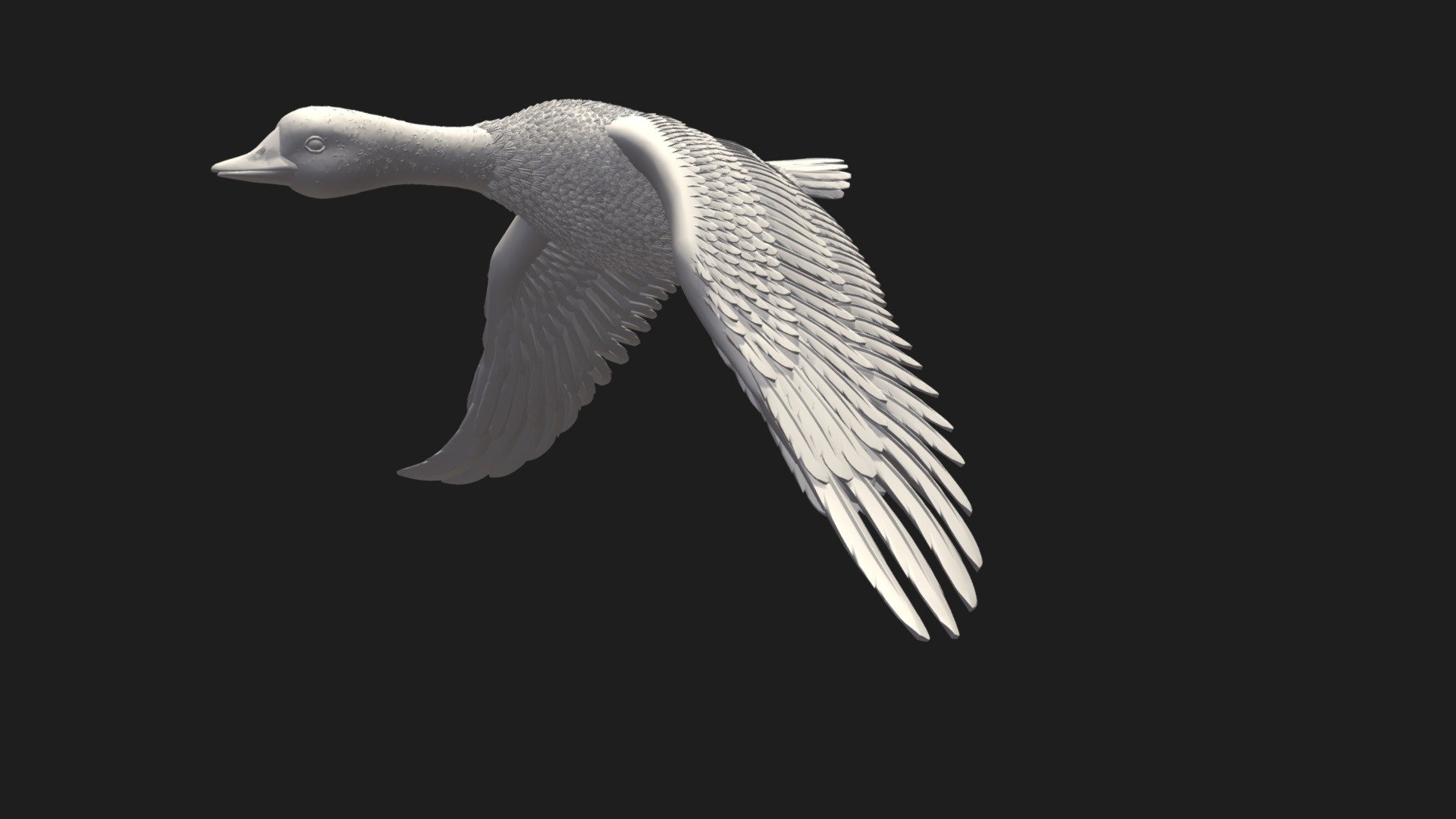 Duck 3d model