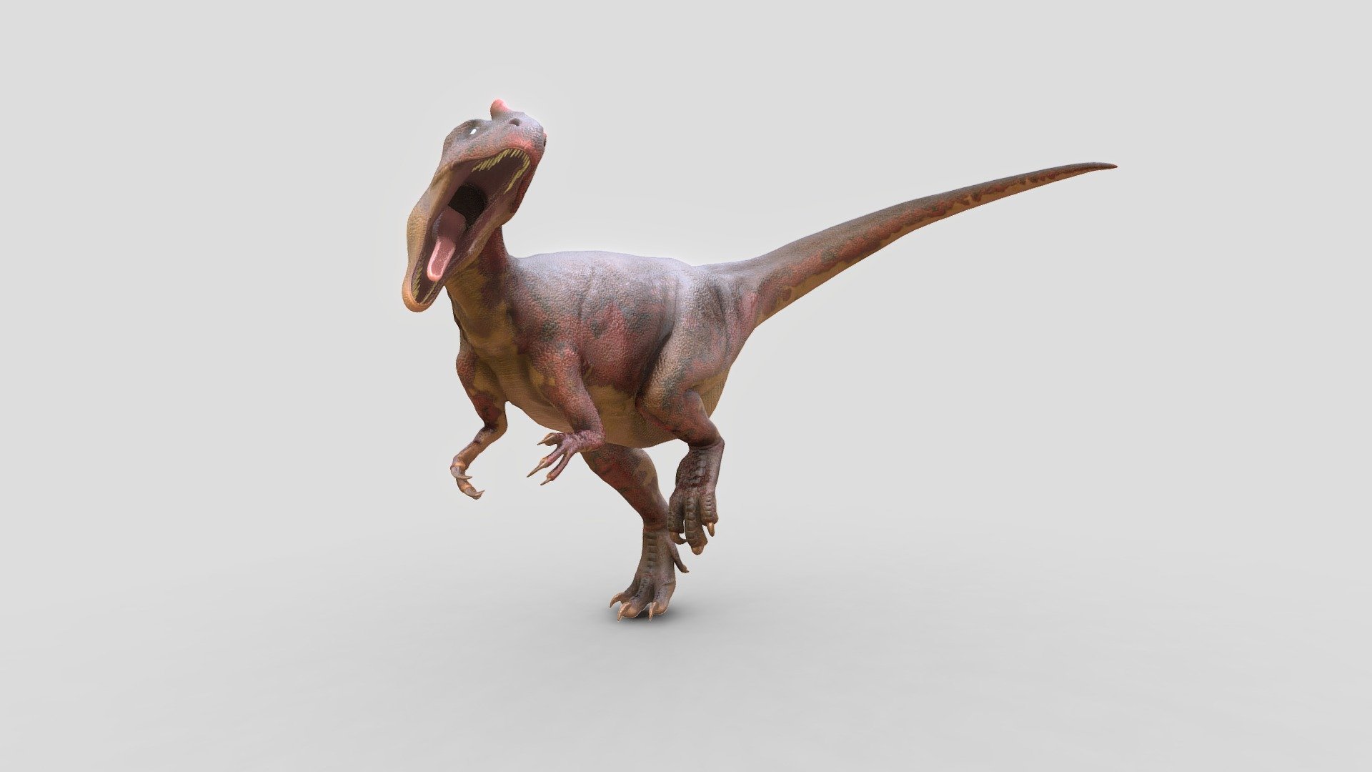 Allosaurs 3d model