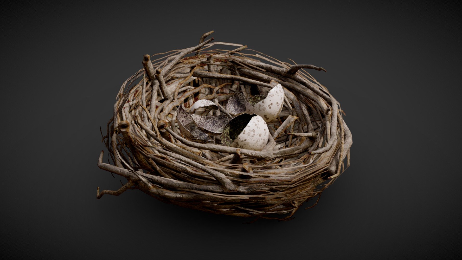 Bird nest 3d model