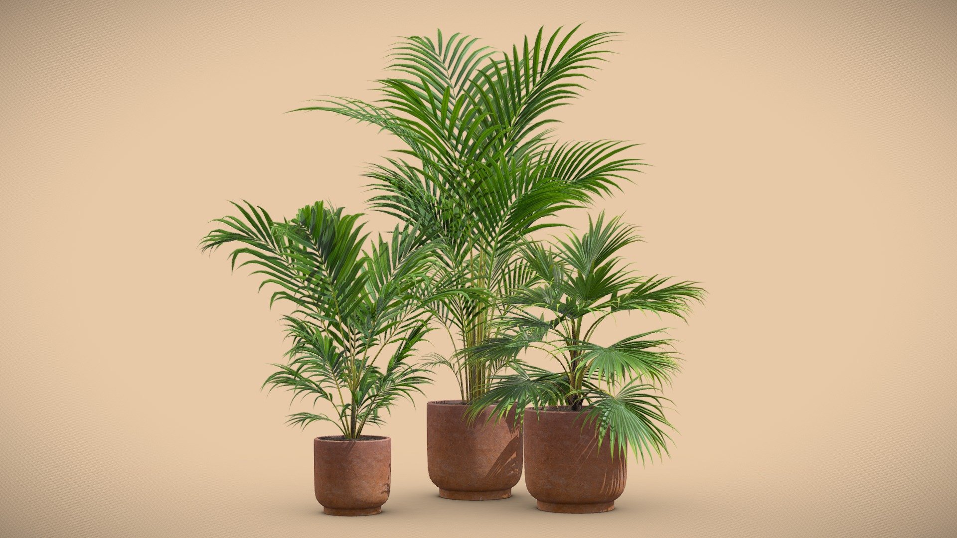 Indoor Plants Pack 34 3d model