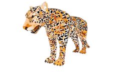 Jaguar Illustration