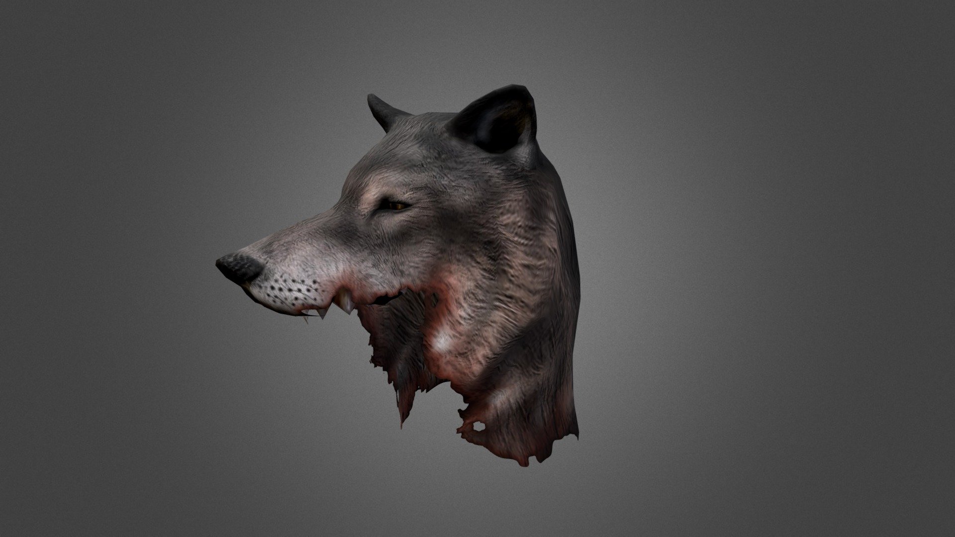 Wolf Hat 3d model