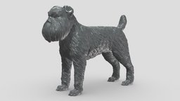 Brussels Griffon V3 3D print model