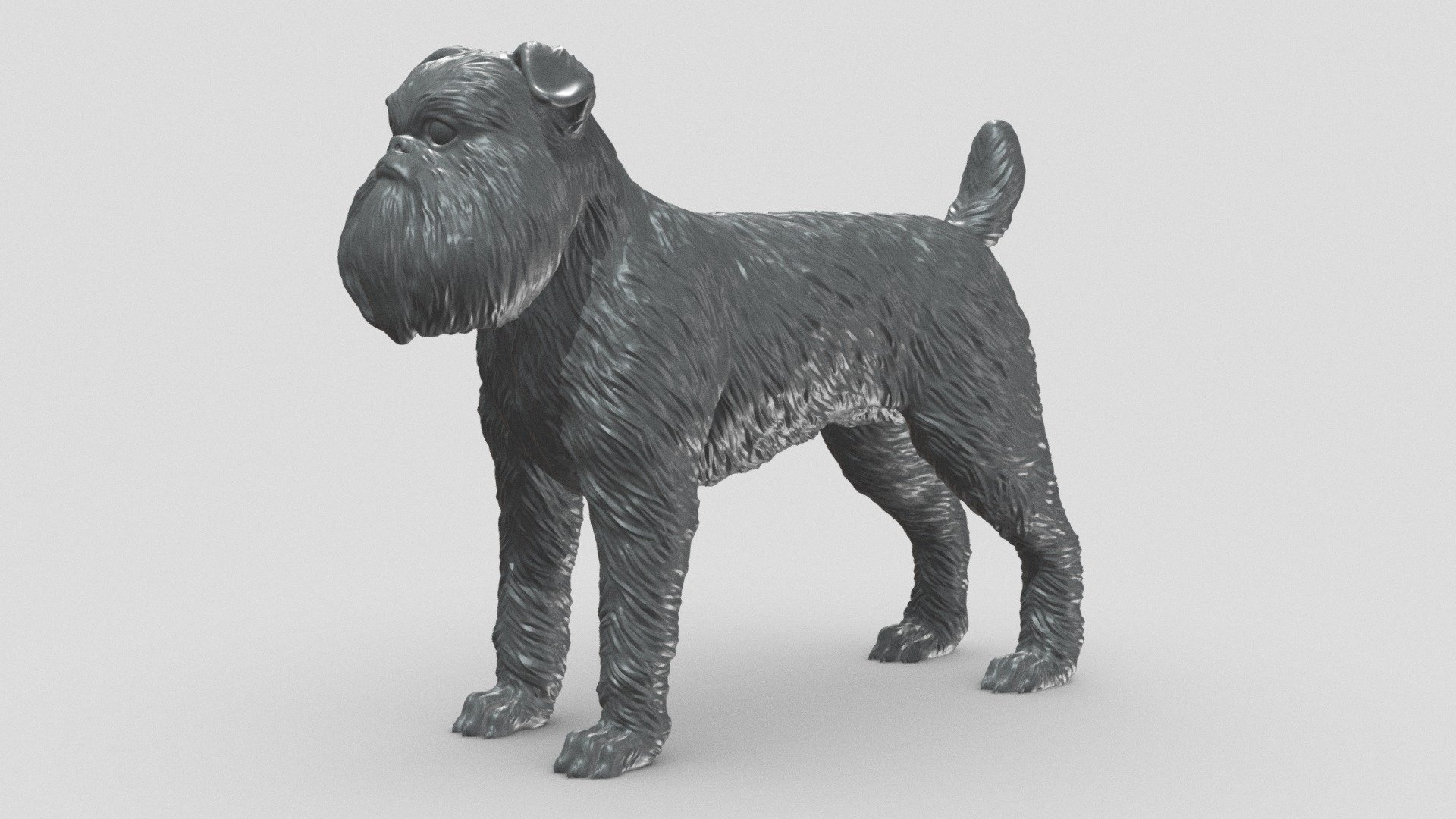 Brussels Griffon V3 3D print model 3d model