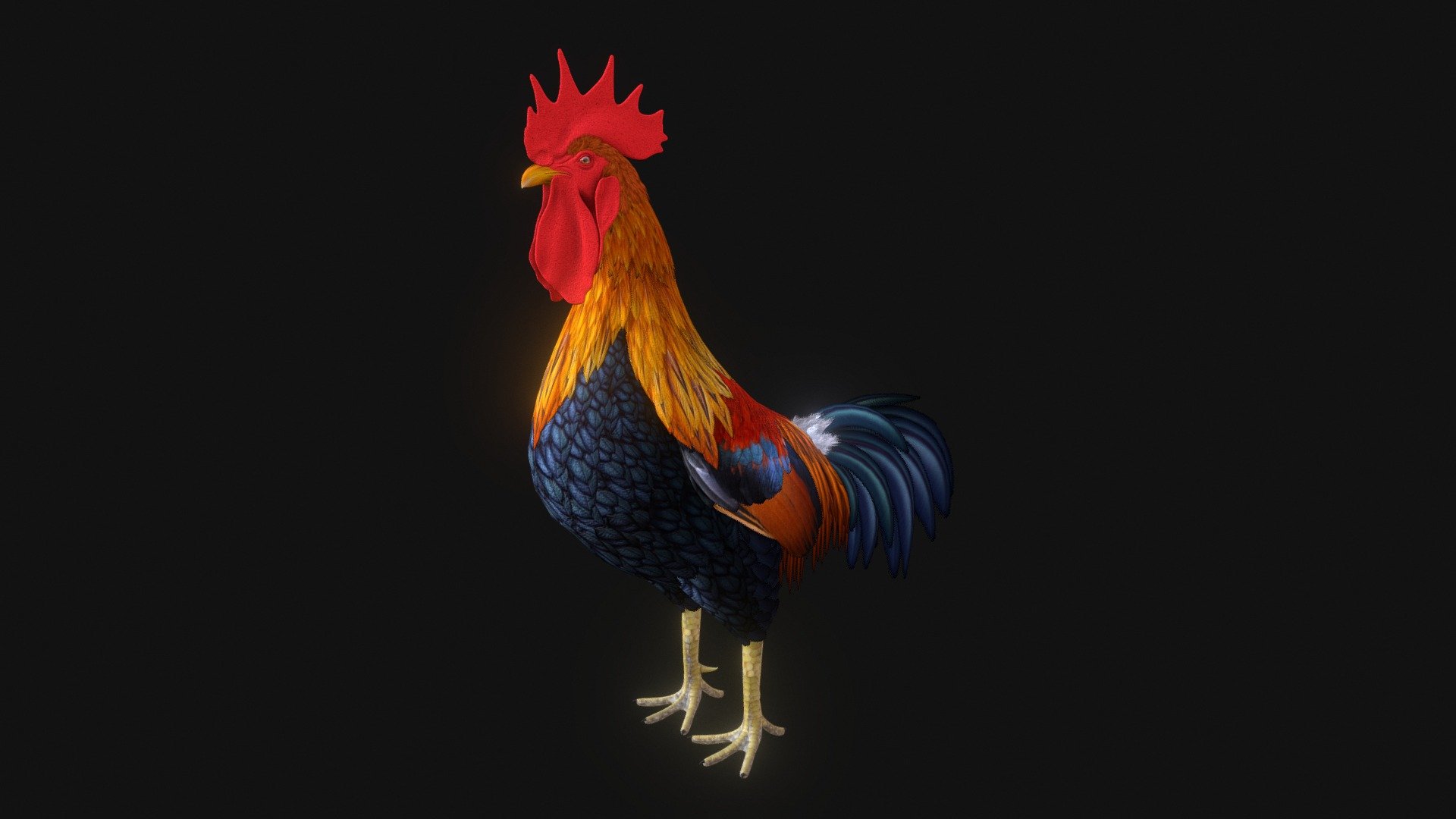 Rooster 3d model