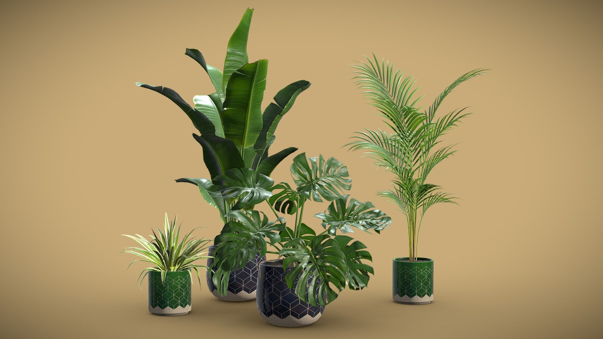 Indoor Plants Pack 32 3d model