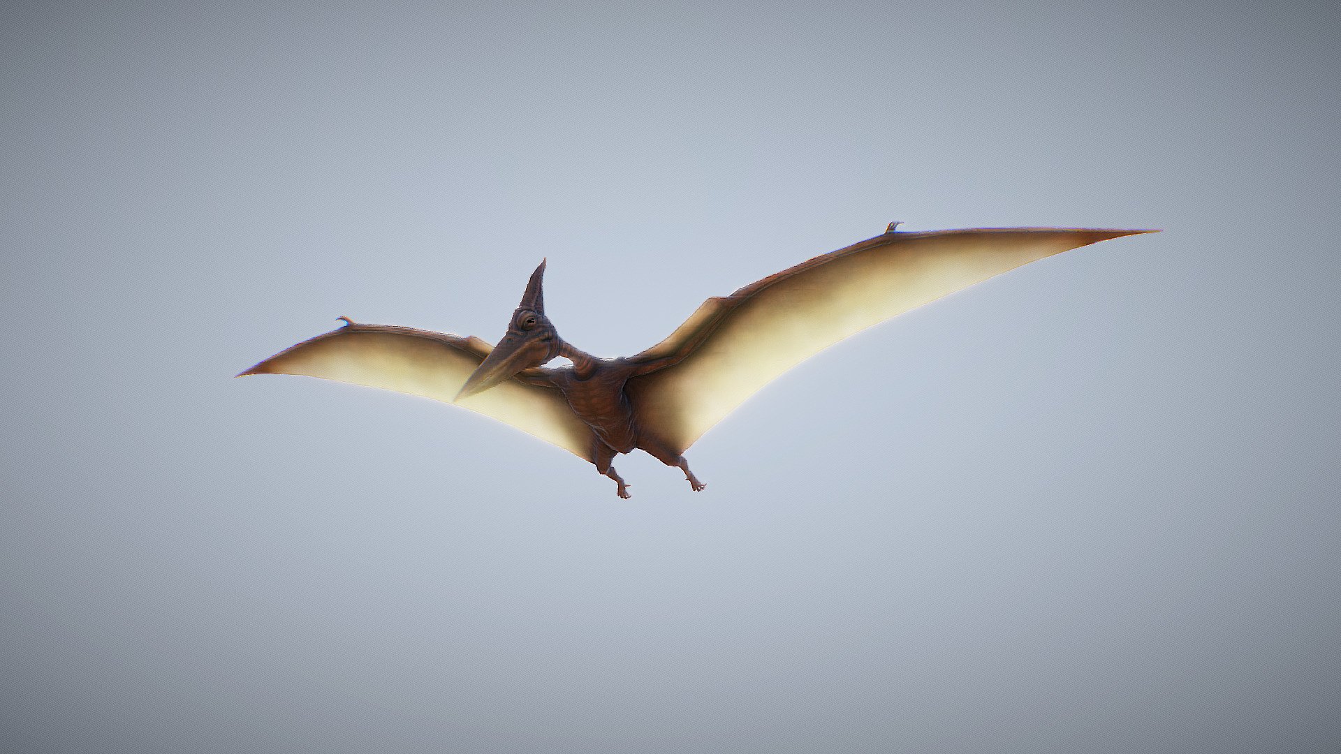 Animated Pterodactyle (Game Ready) 3d model