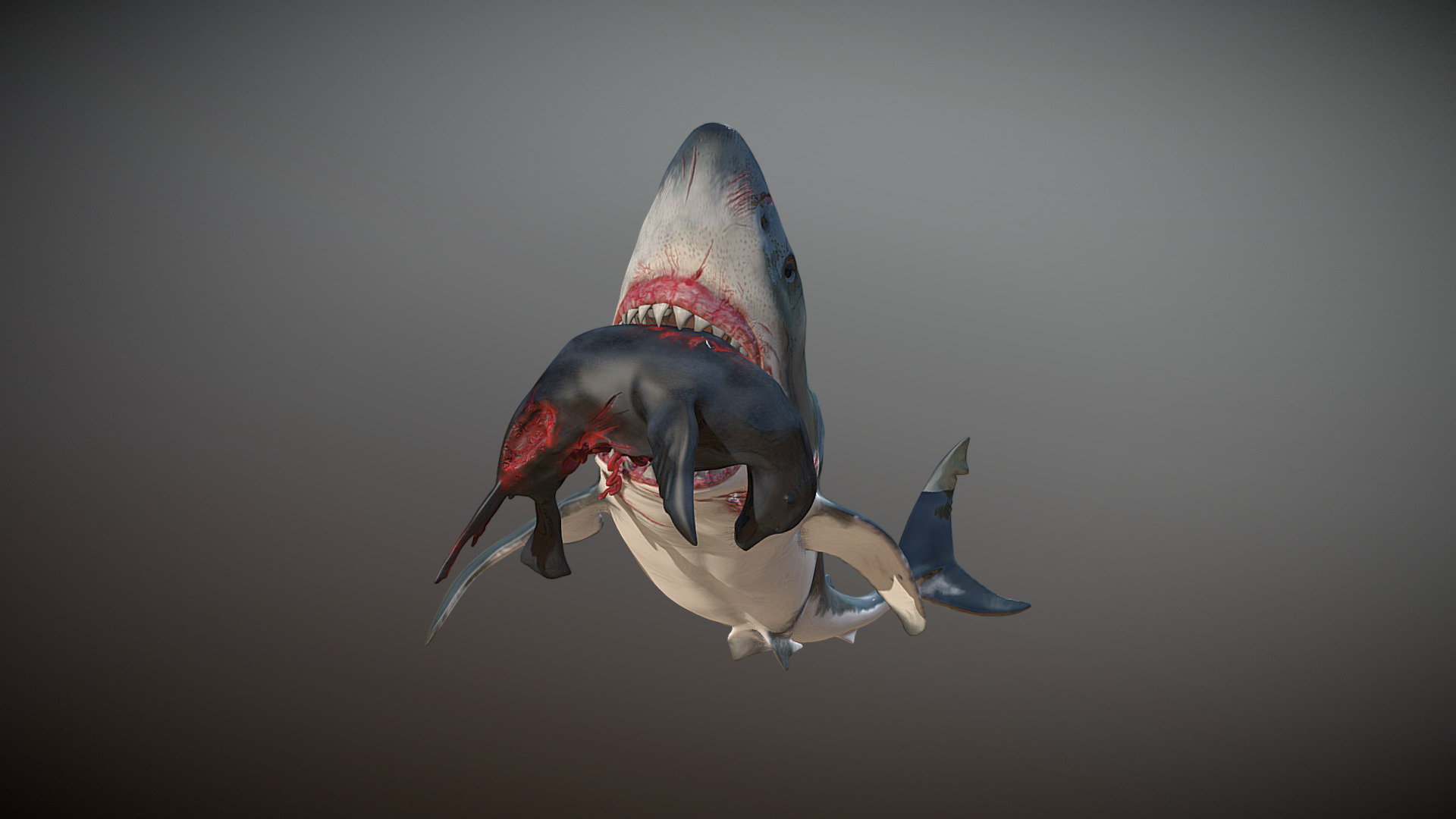 Great White Attack 3d model