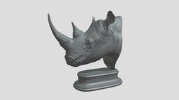 Rhinoceros