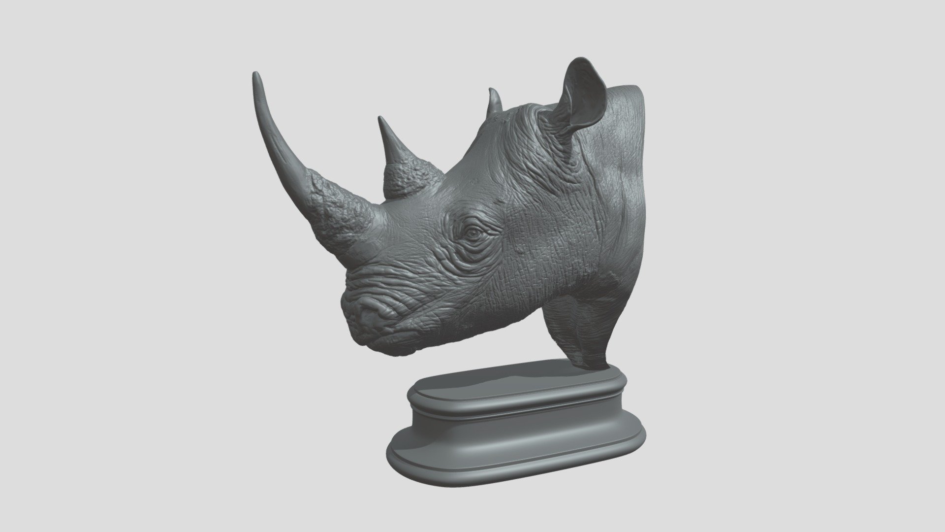 Rhinoceros 3d model