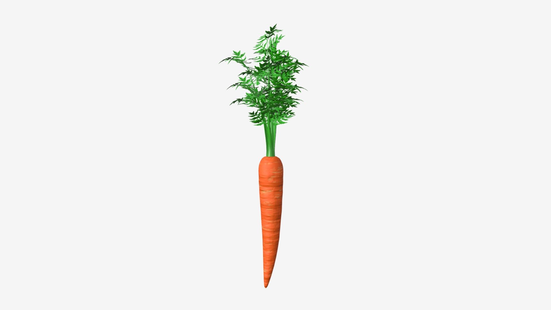 Carrot 03 3d model