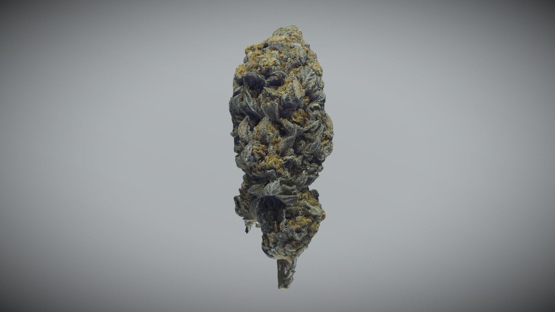 5 Gram Cannabis Bud 3d model