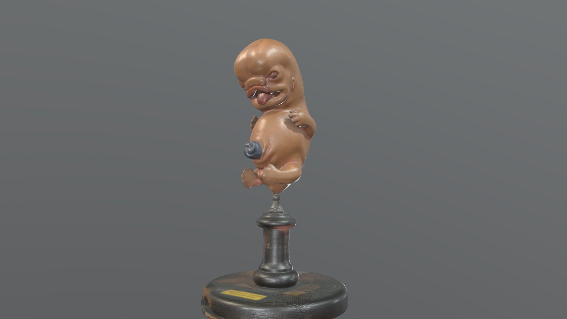 wax model embryo Institute of Anatomy Rostock 3d model