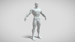 Male Base Mesh