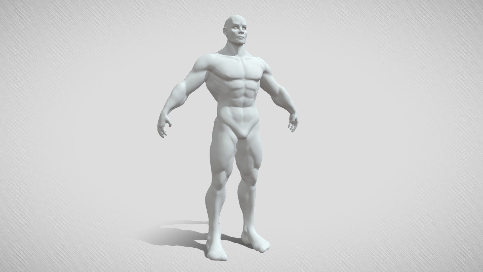 Male Base Mesh 3d model