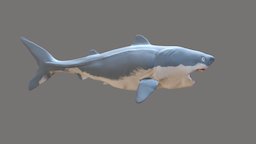 Shark 3D