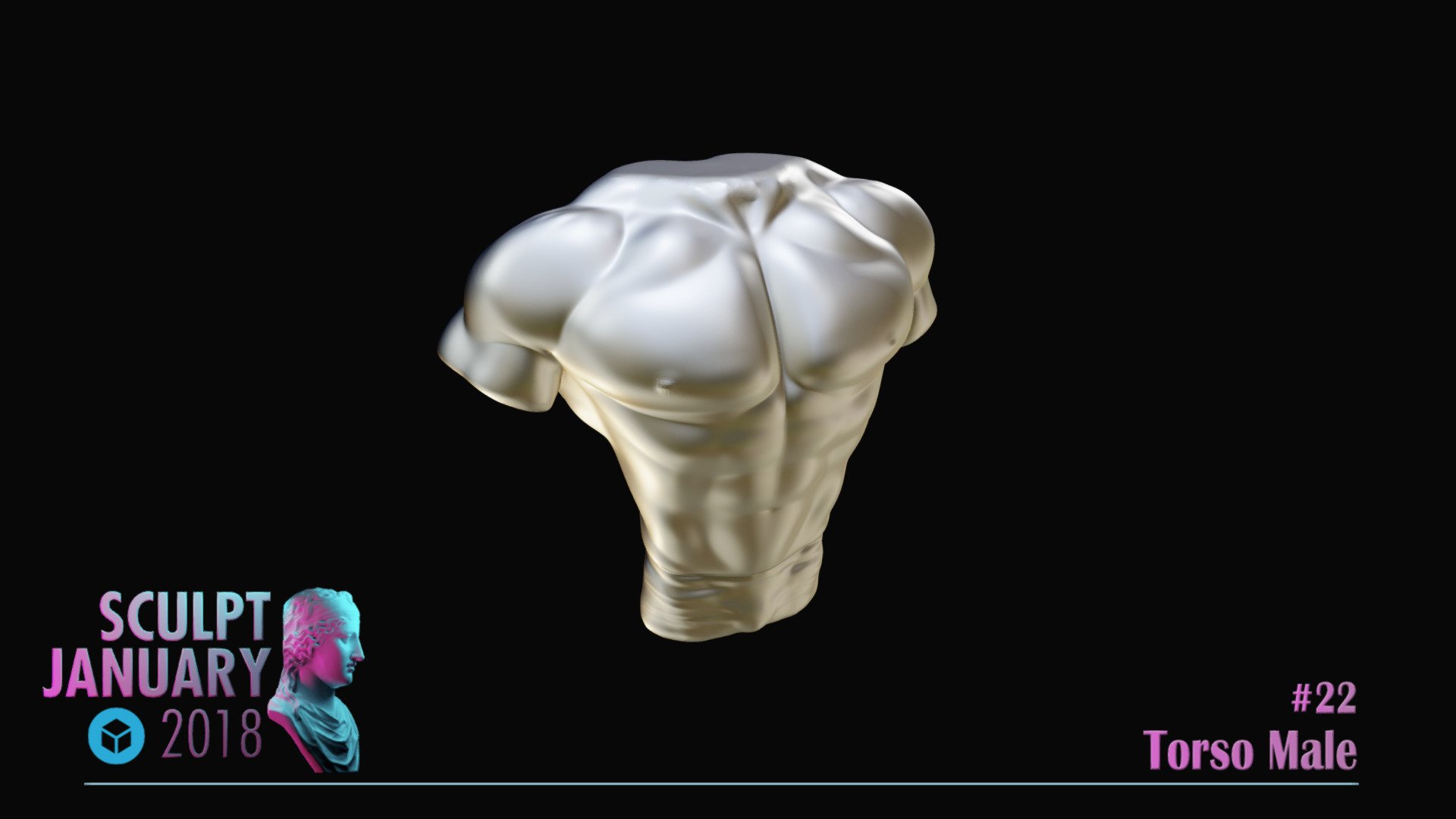 Torso Male 3d model