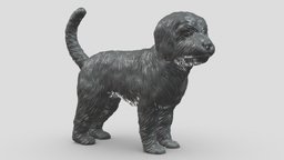 Cavoodle V1 3D print model