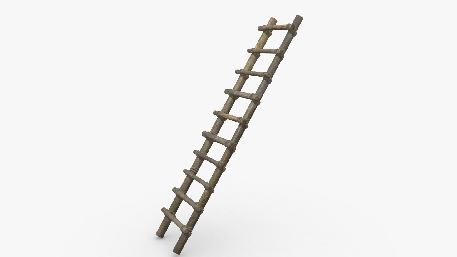 Simple Ladder 3d model