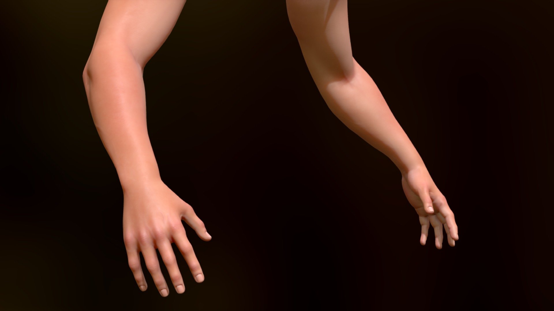 Arms for First Person Games (Male/Midpoly) 3d model