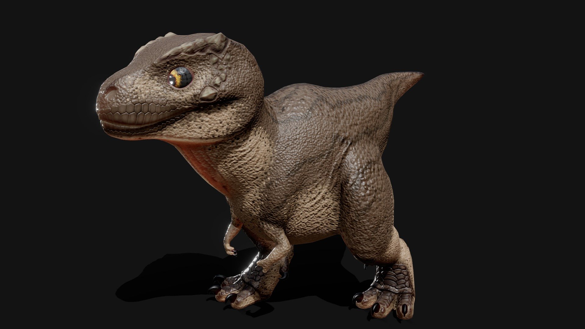 Little T-Rex 3d model