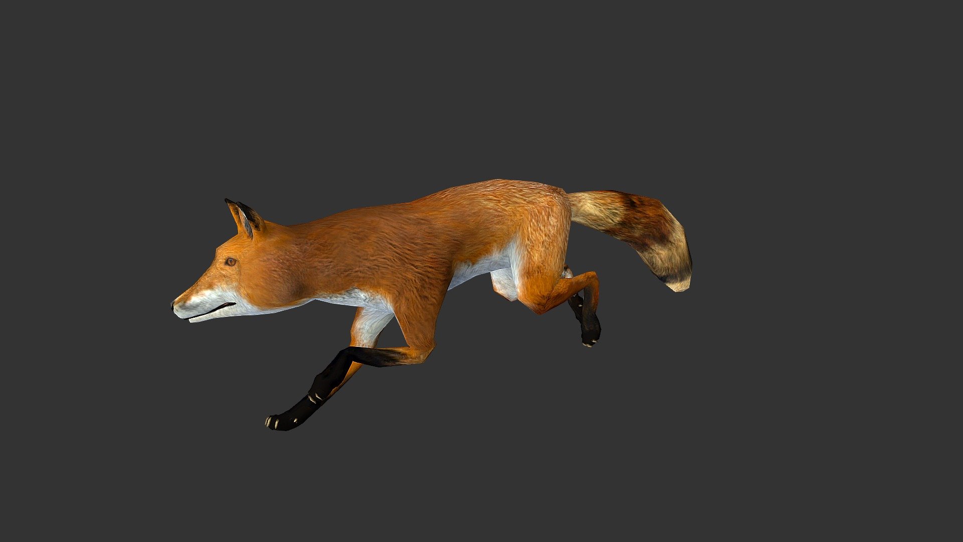 FOX 3d model