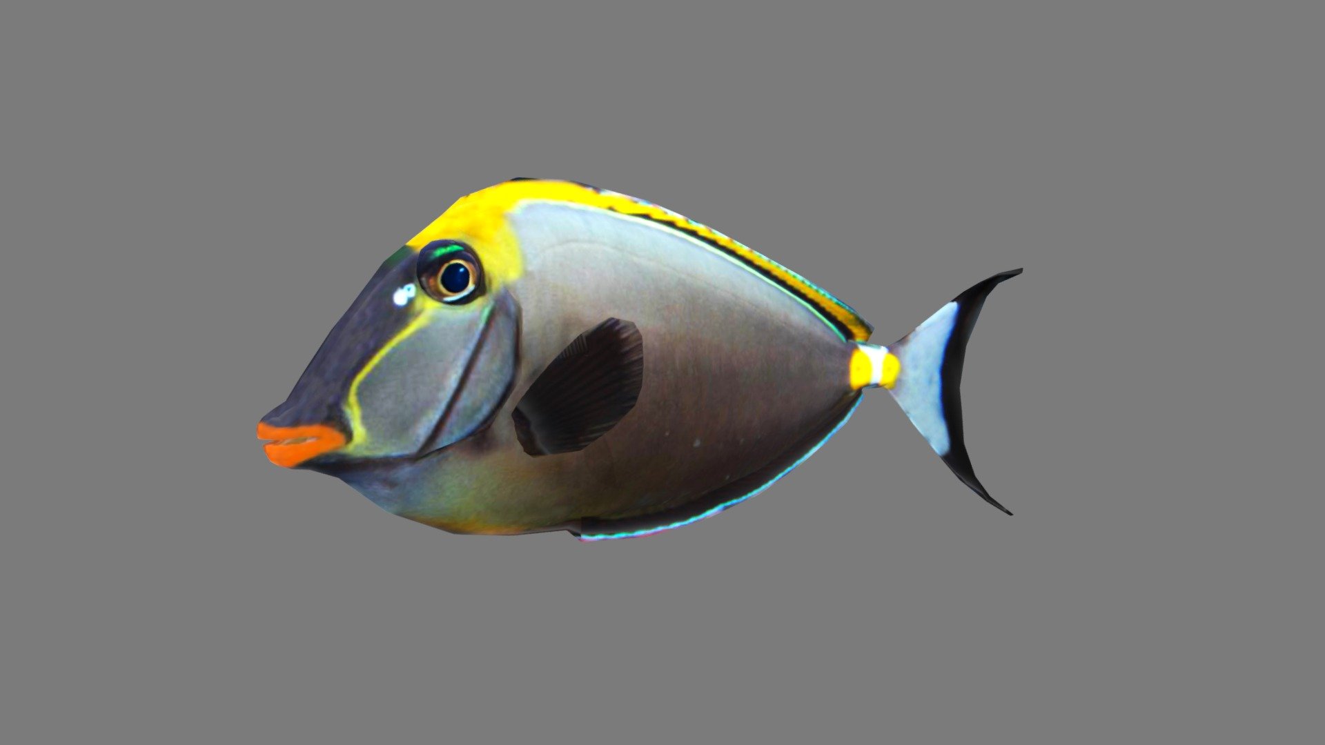 Orangespine Unicornfish 3d model