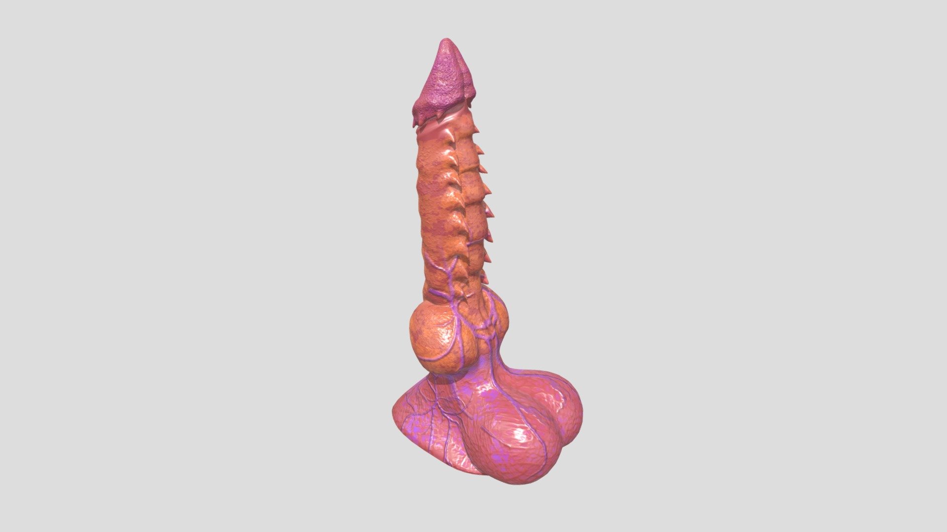 Dragon Penis 3d model