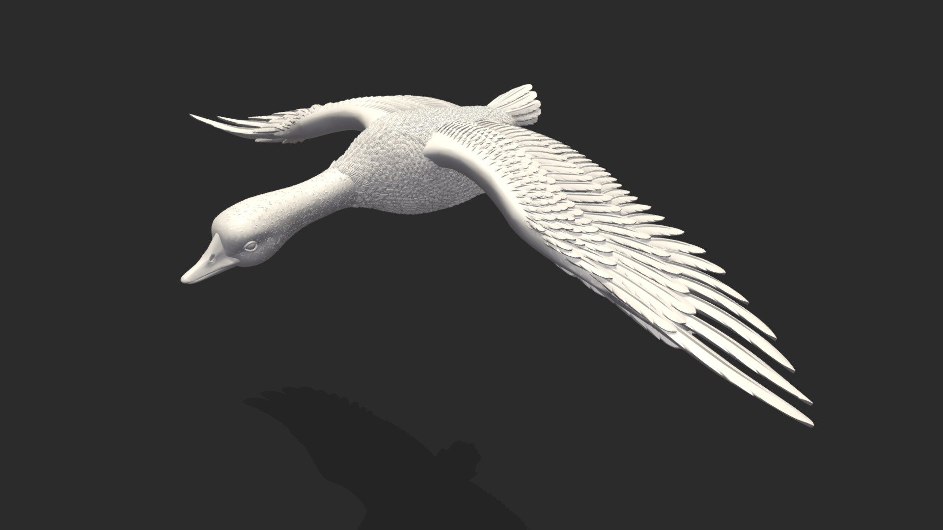 Duck 3d model