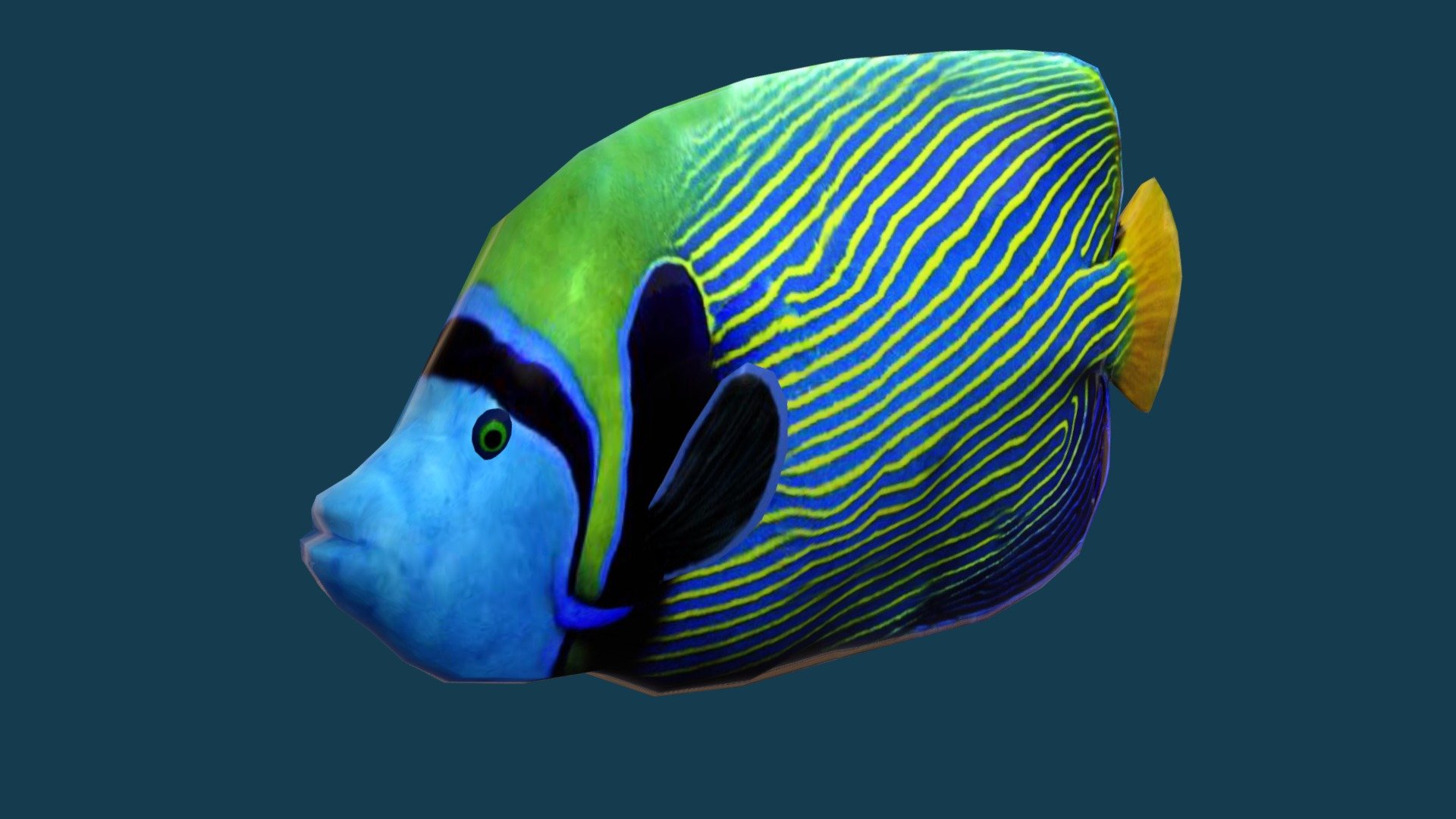 Emperor Angelfish 3d model