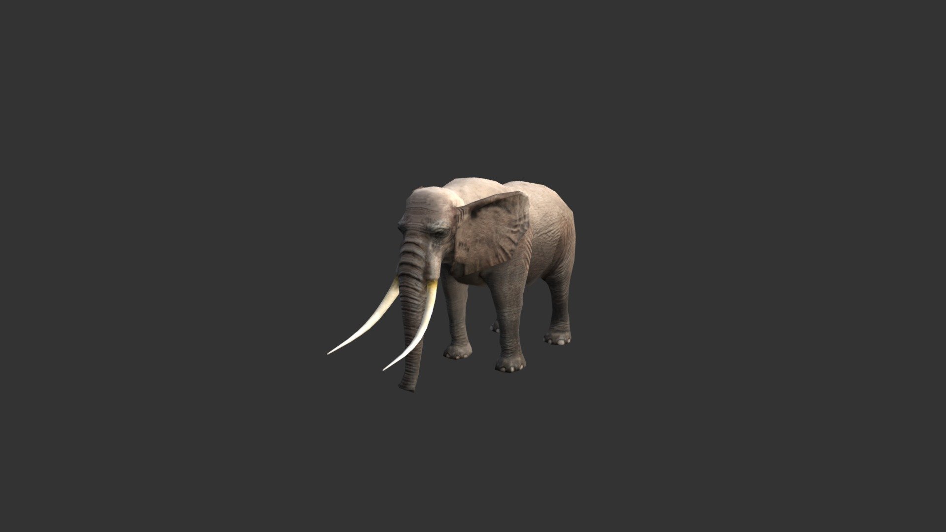 ELEPHANT 3d model