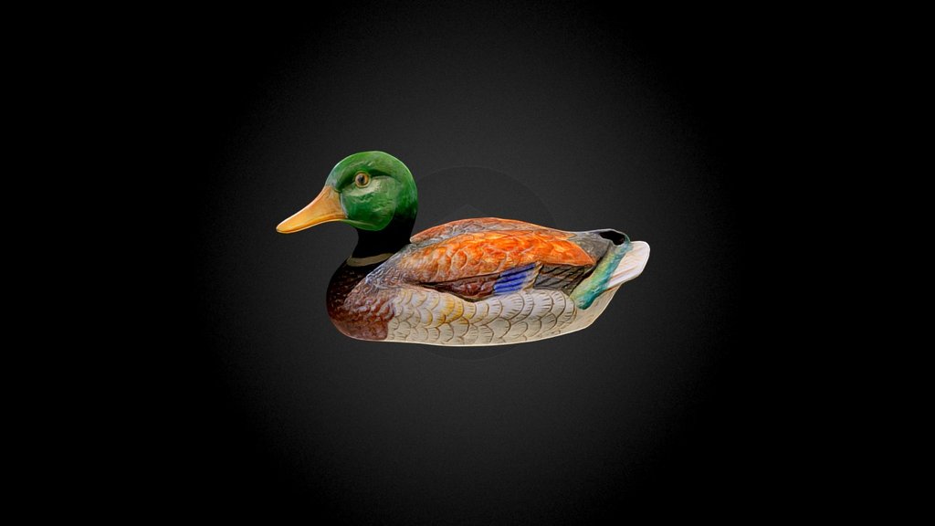 Duck 3d model