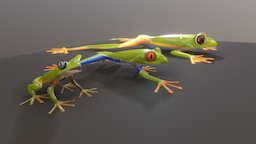 3 frogs