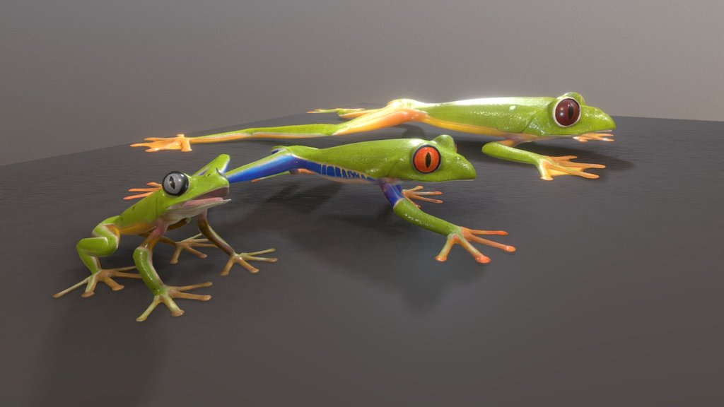 3 frogs 3d model