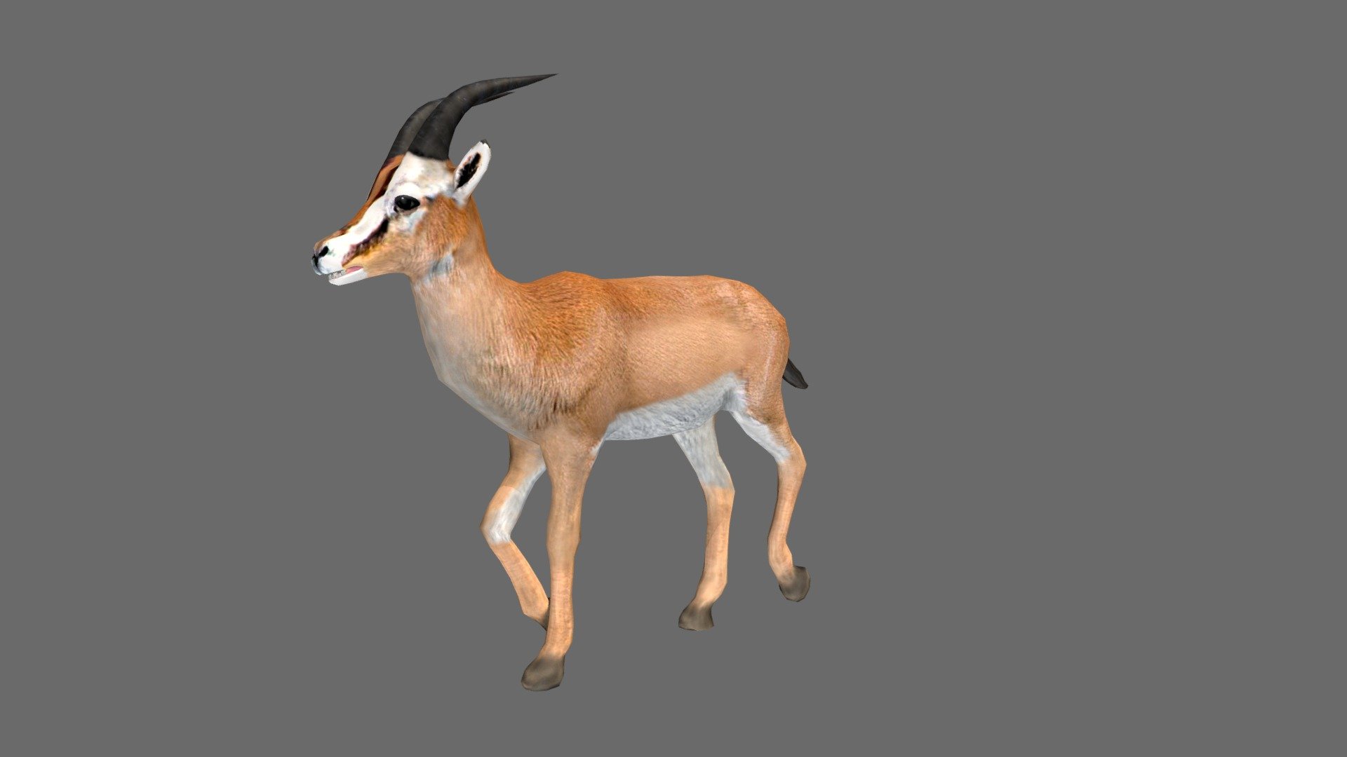 Gazelle 3d model