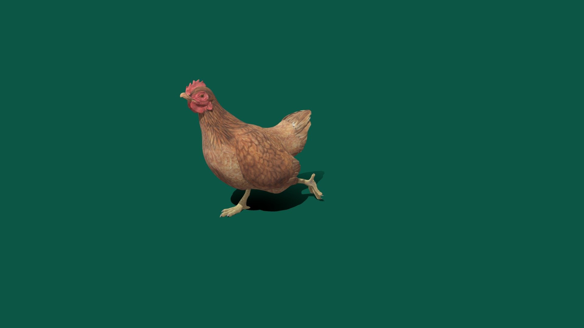 Chicken 3d model