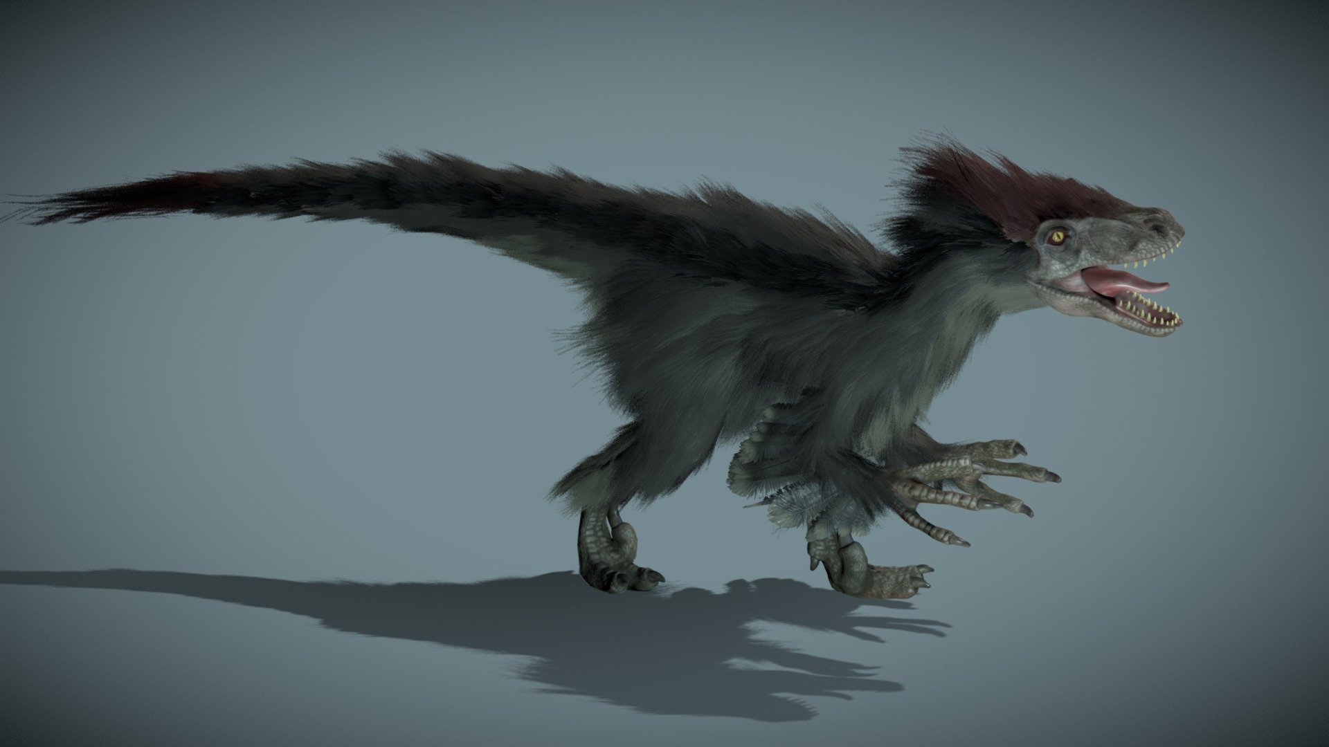 Raptor 3d model