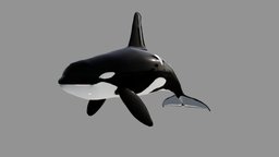 Orca