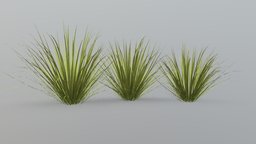 Long Grass