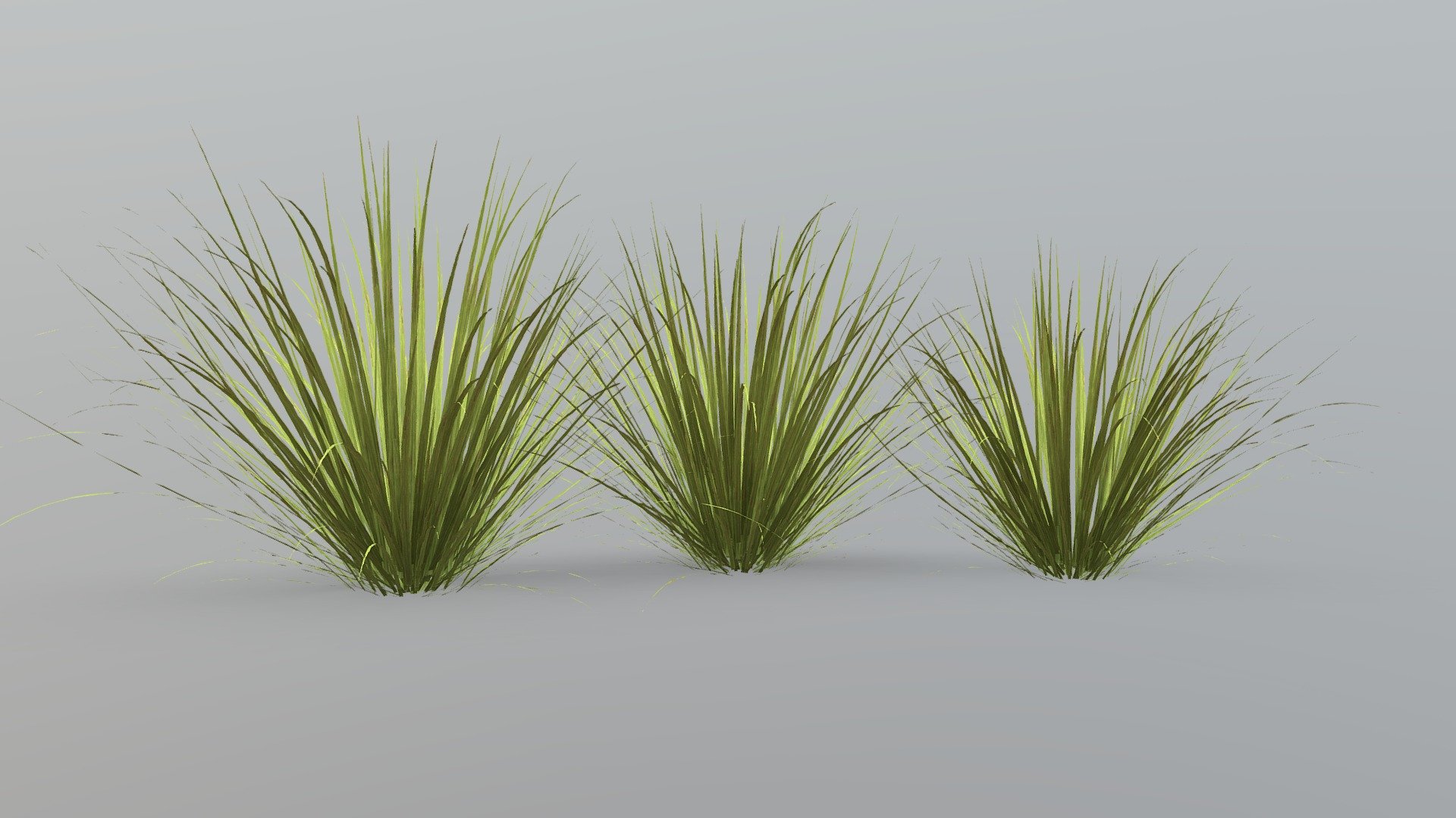 Long Grass 3d model