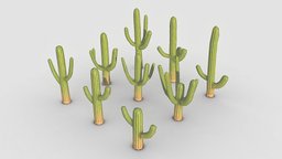 Cactus | Pack