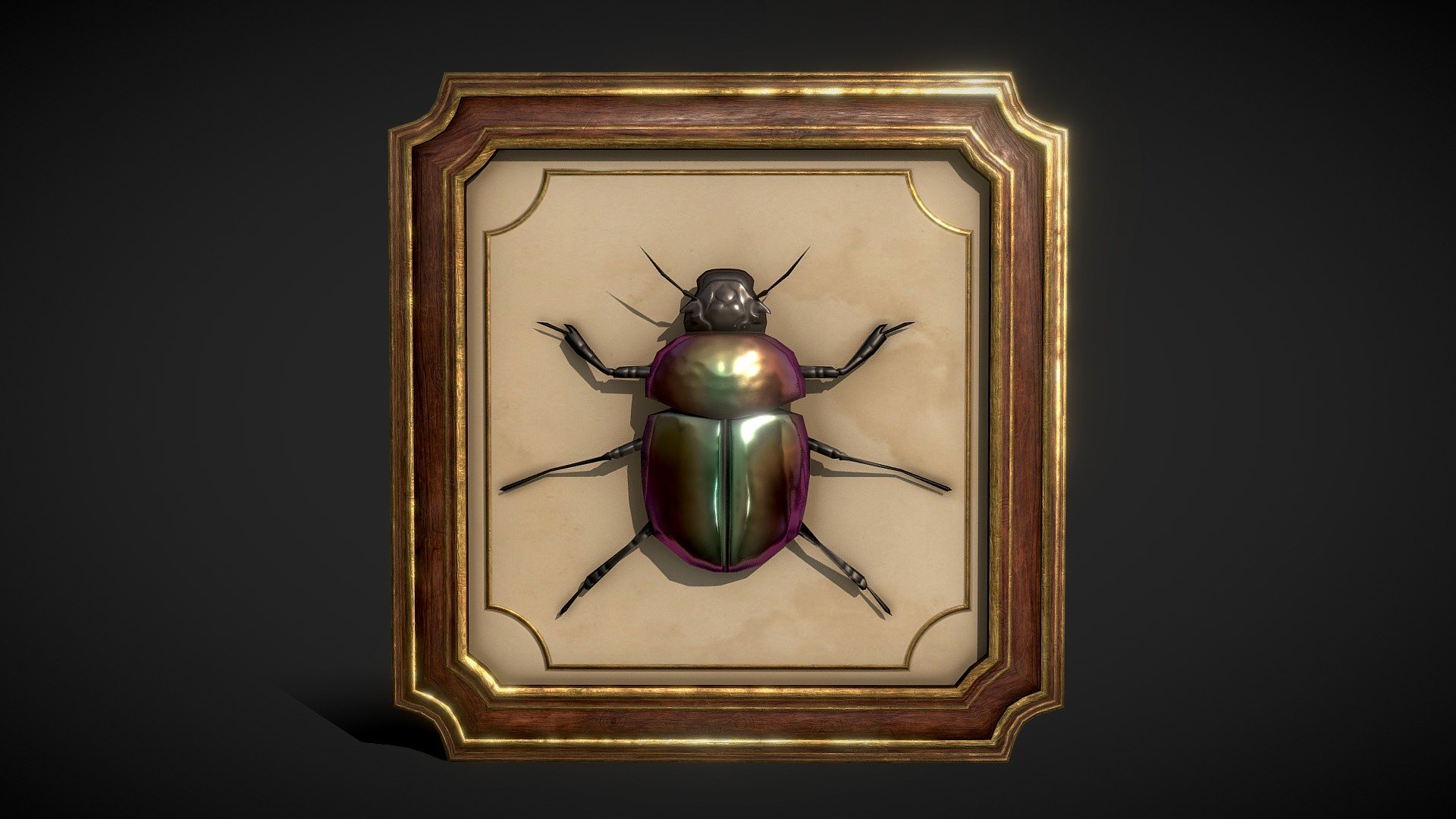 Framed Beetle / Bug Decoration 3d model