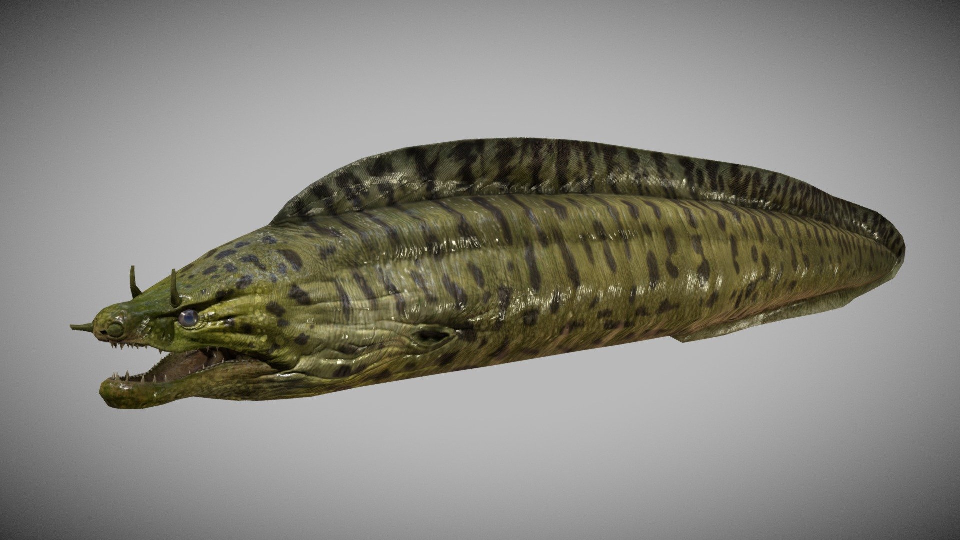 VR- Tech Moray 3d model