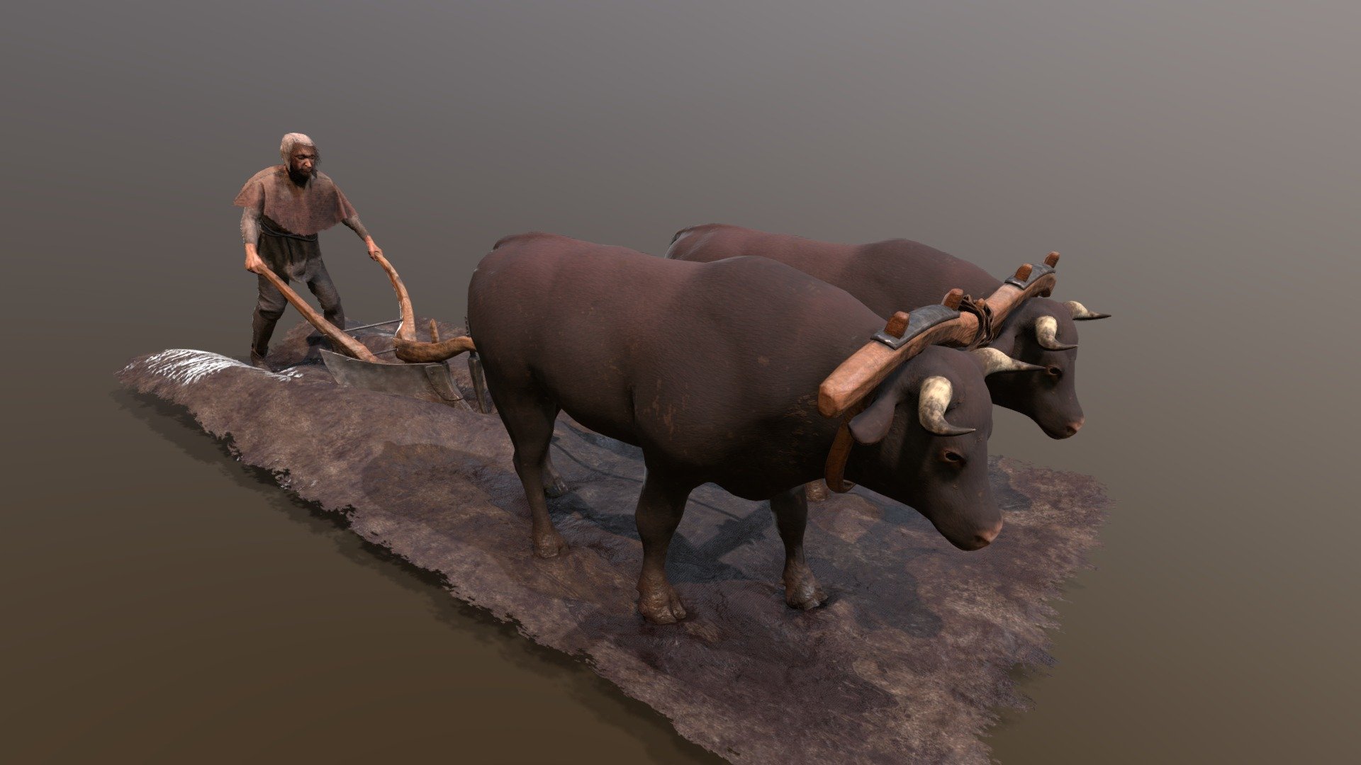 Medieval Farming 3d model