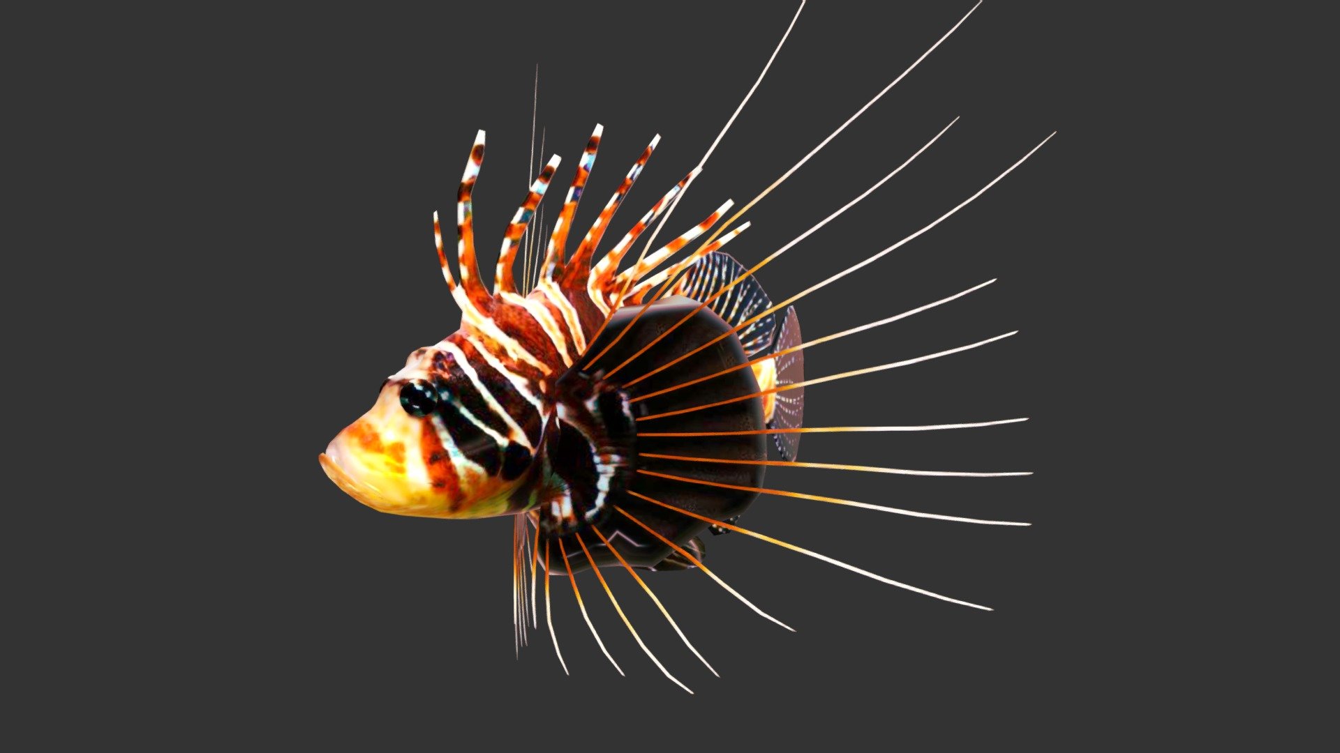 Lionfish 3d model